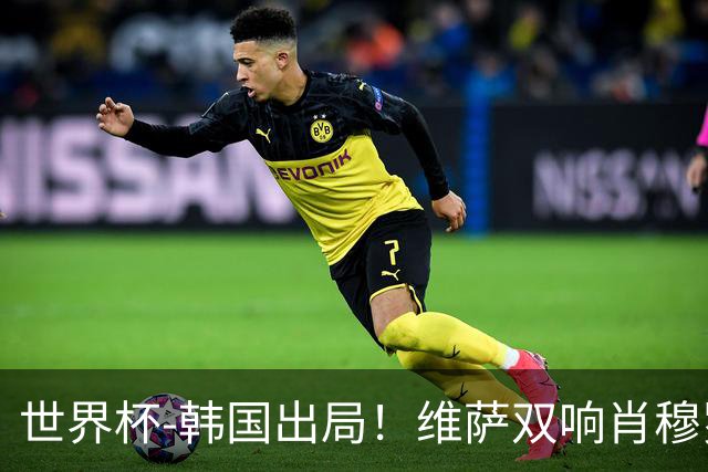 世界杯-韩国出局！维萨双响肖穆罗多夫神仙球 民主刚果3-1乌兹