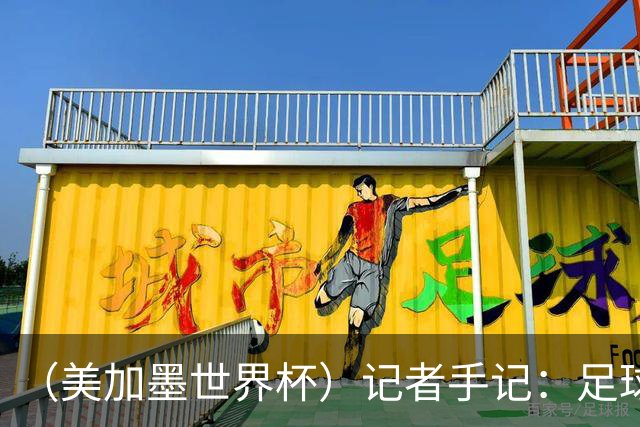 （美加墨世界杯）记者手记：足球世界，规则谁定？